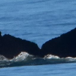 Fluke of CRC-21214