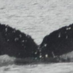 Fluke of HW-MN0510639