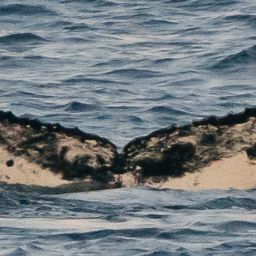 Fluke of HW-MN0200257