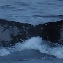 Fluke of HW-MN0200262