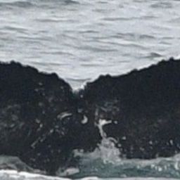 Fluke of HW-MN0103150