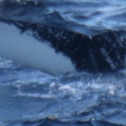 Fluke of HW-MN0103160