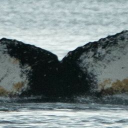 Fluke of HW-MN1304596