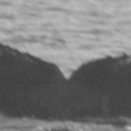Fluke of Snowcap