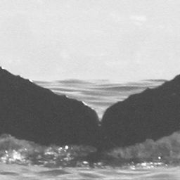Fluke of CRC-12185