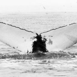 Fluke of NA-5646