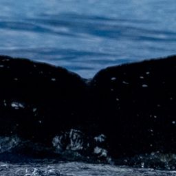 Fluke of HW-MN0443924
