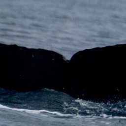 Fluke of HW-MN0443949