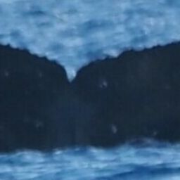 Fluke of HW-MN0444009