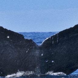 Fluke of HW-MN0444030