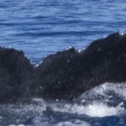Fluke of HW-MN0444044