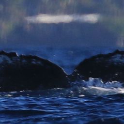 Fluke of HW-MN0444109