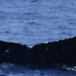 Fluke of HW-MN0444110