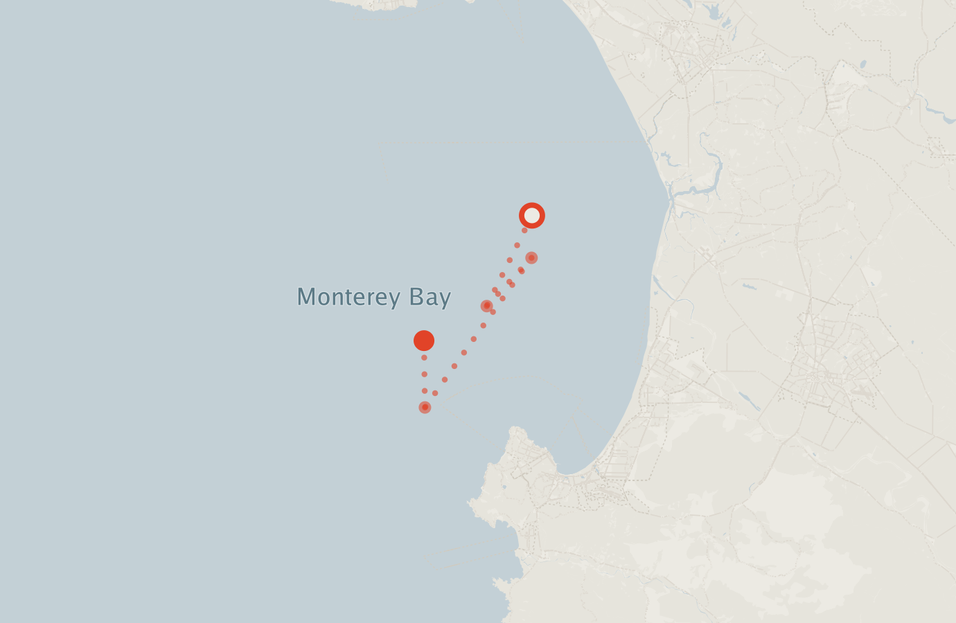 Activity map — real sighting points on an OpenStreetMap basemap