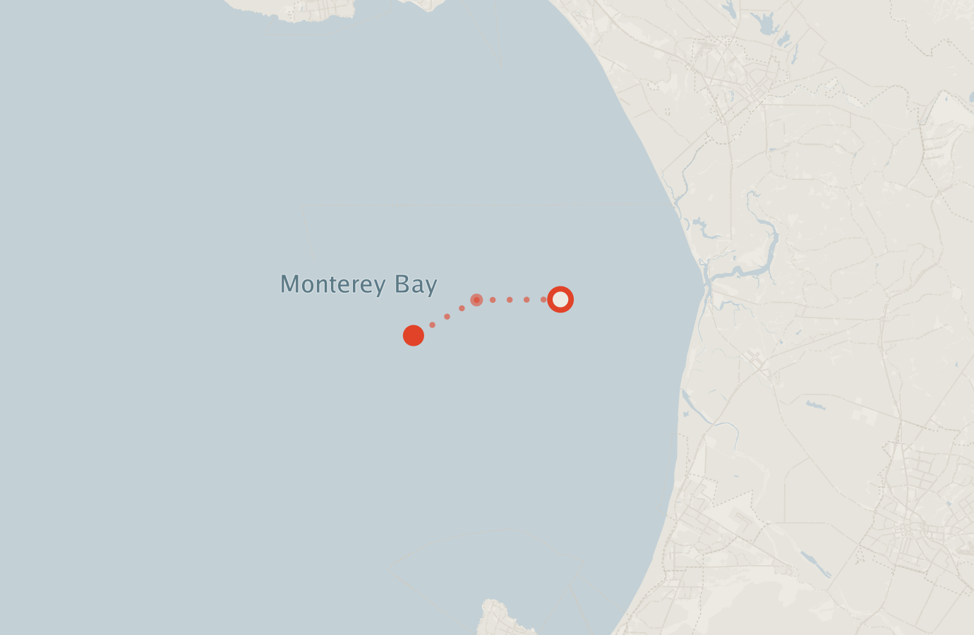 Activity map — real sighting points on an OpenStreetMap basemap