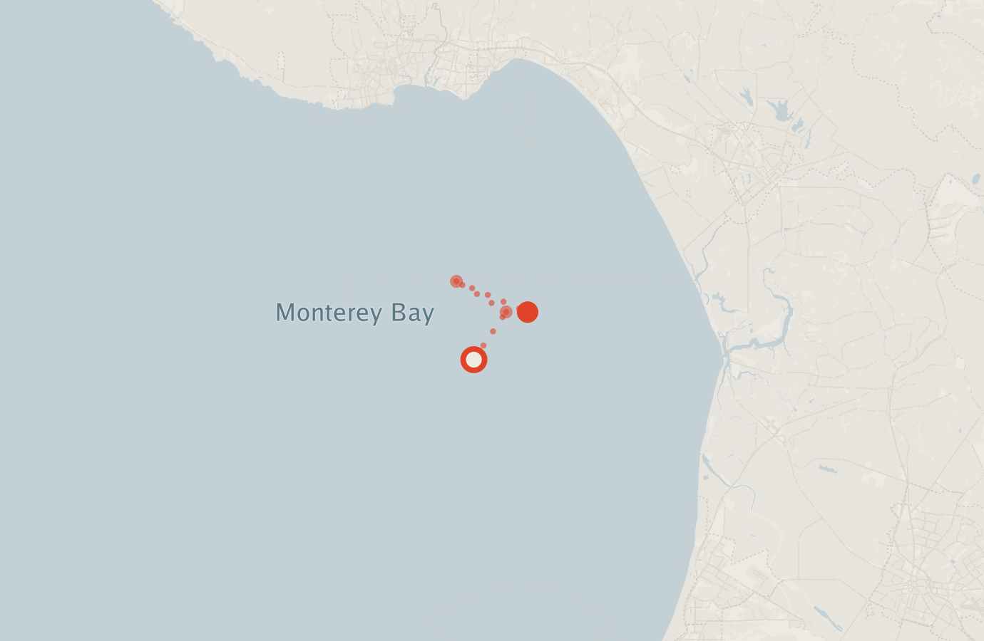 Activity map — real sighting points on an OpenStreetMap basemap