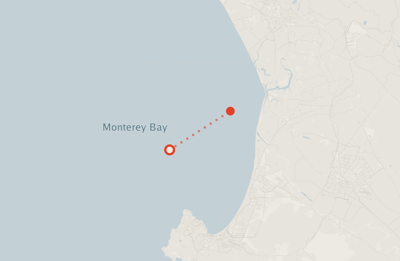Activity map — real sighting points on an OpenStreetMap basemap
