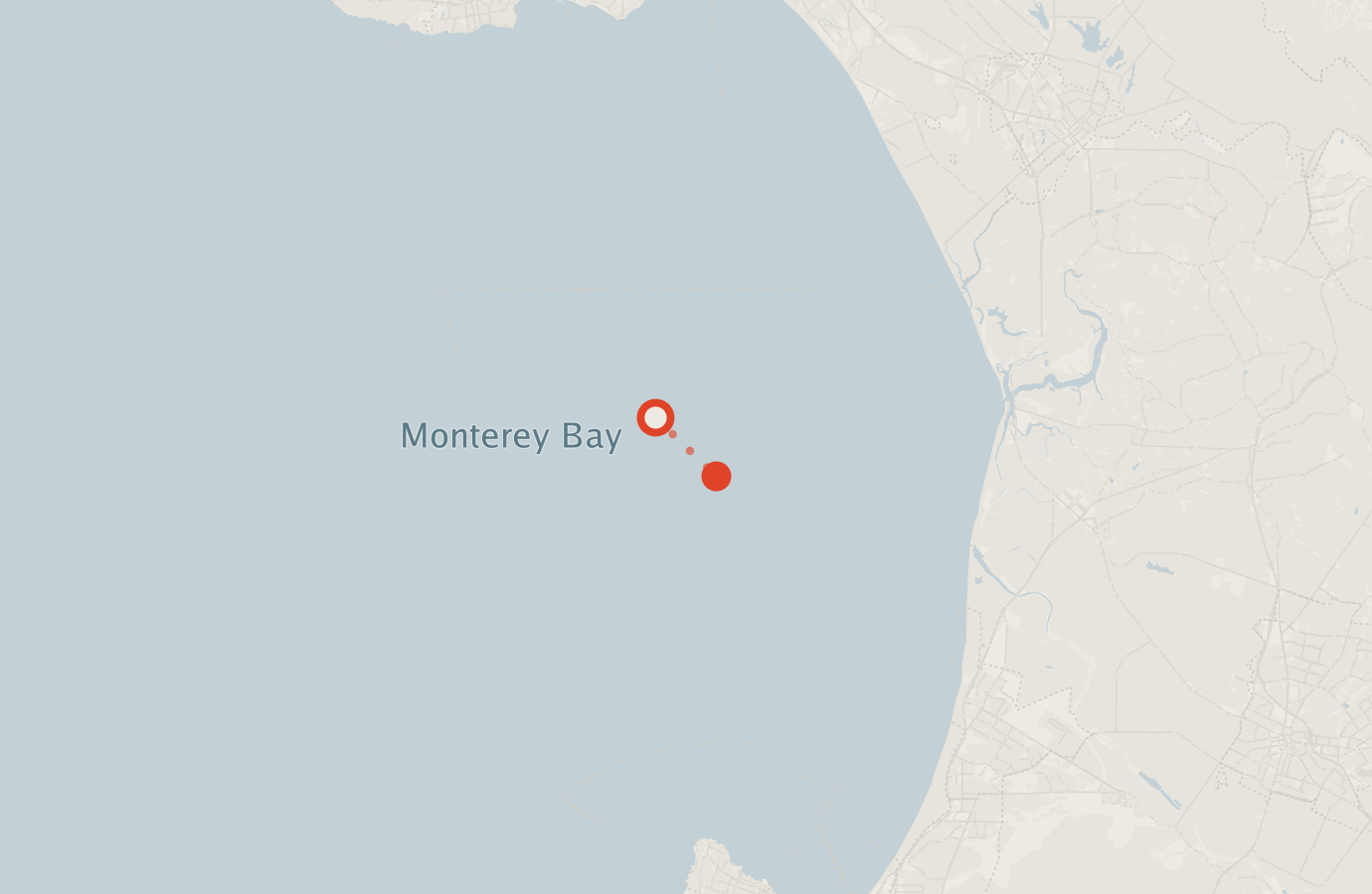 Activity map — real sighting points on an OpenStreetMap basemap