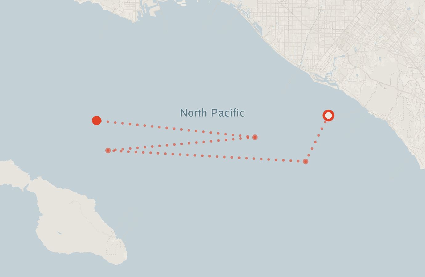 Activity map — real sighting points on an OpenStreetMap basemap