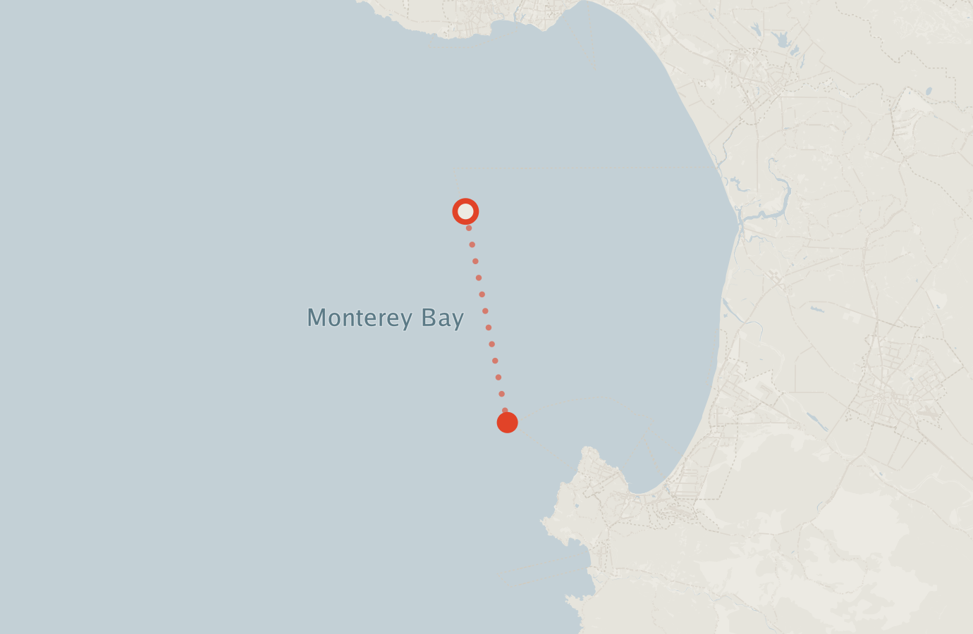 Activity map — real sighting points on an OpenStreetMap basemap
