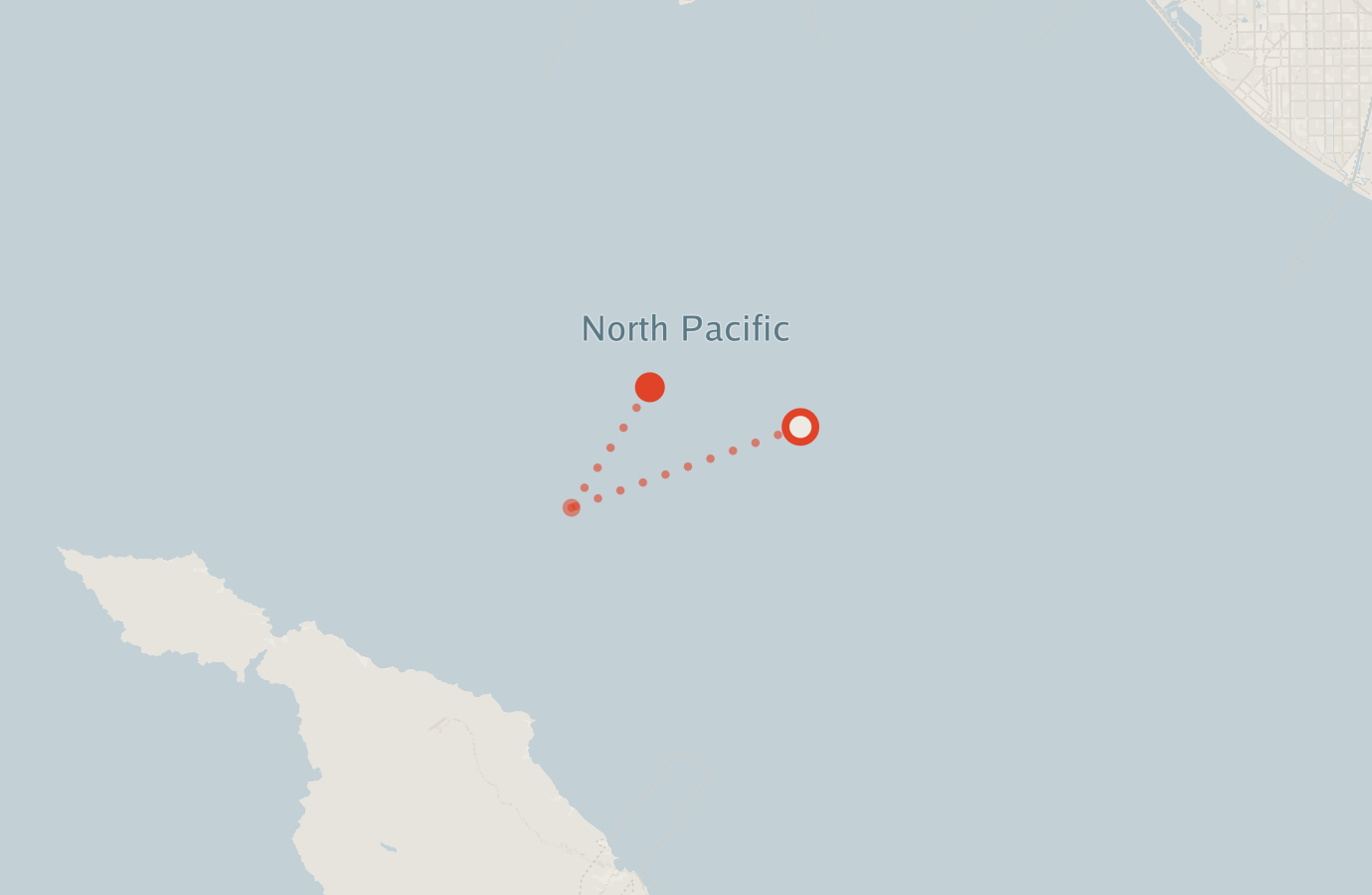 Activity map — real sighting points on an OpenStreetMap basemap