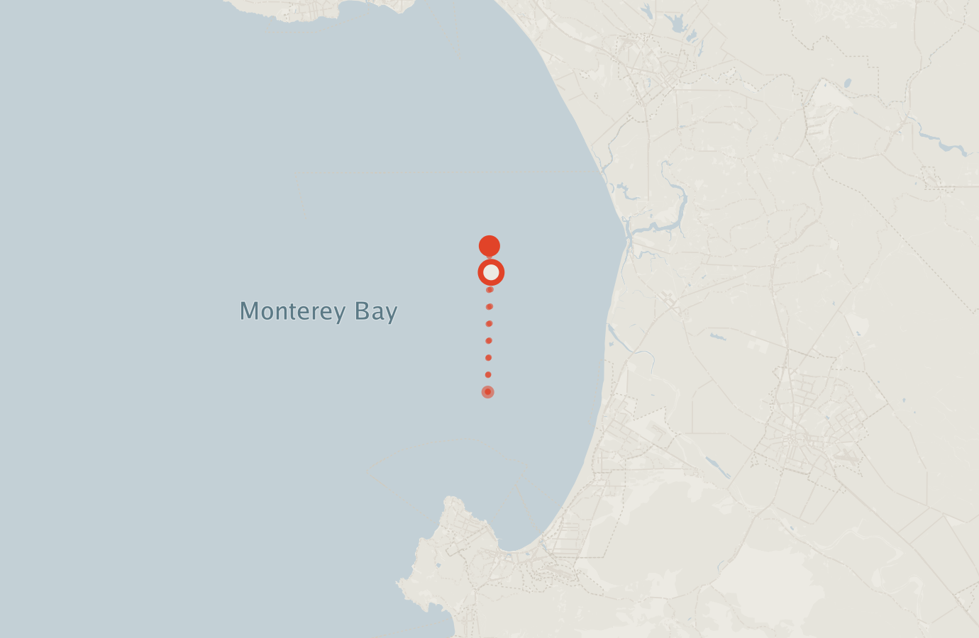 Activity map — real sighting points on an OpenStreetMap basemap