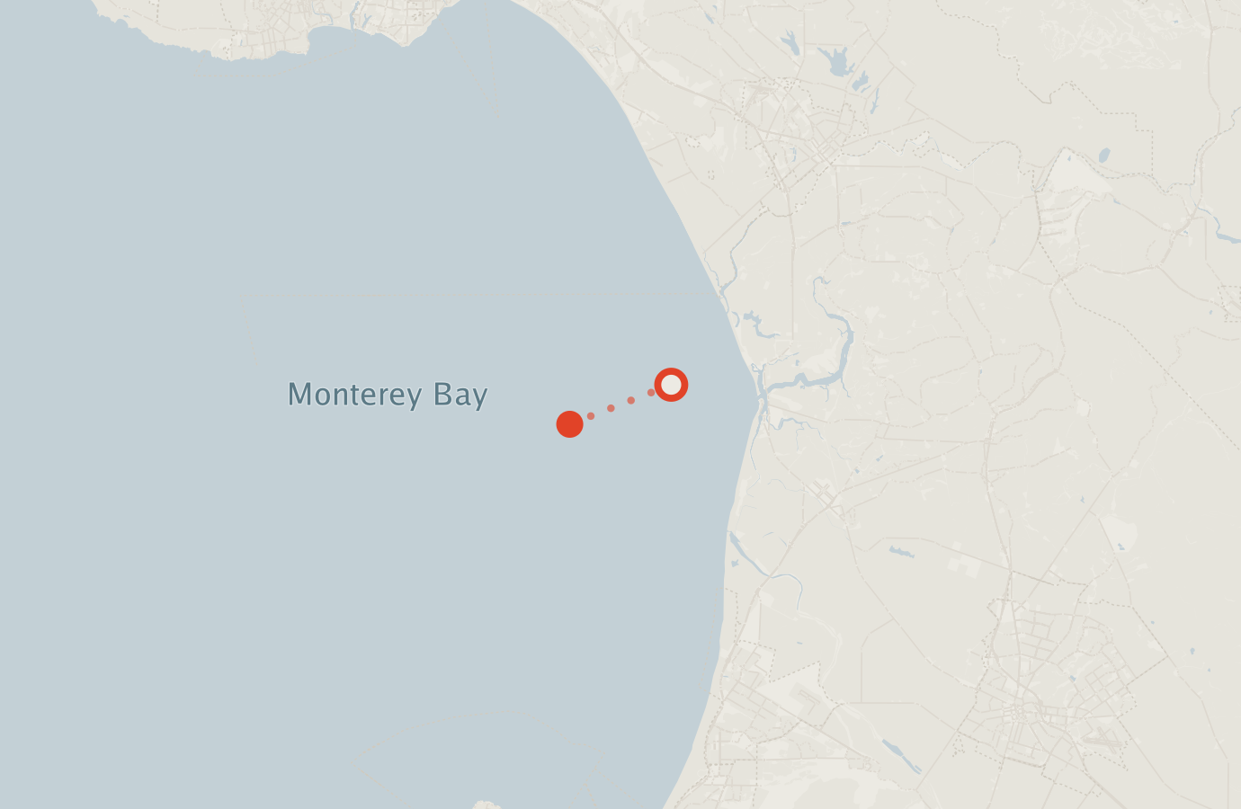 Activity map — real sighting points on an OpenStreetMap basemap