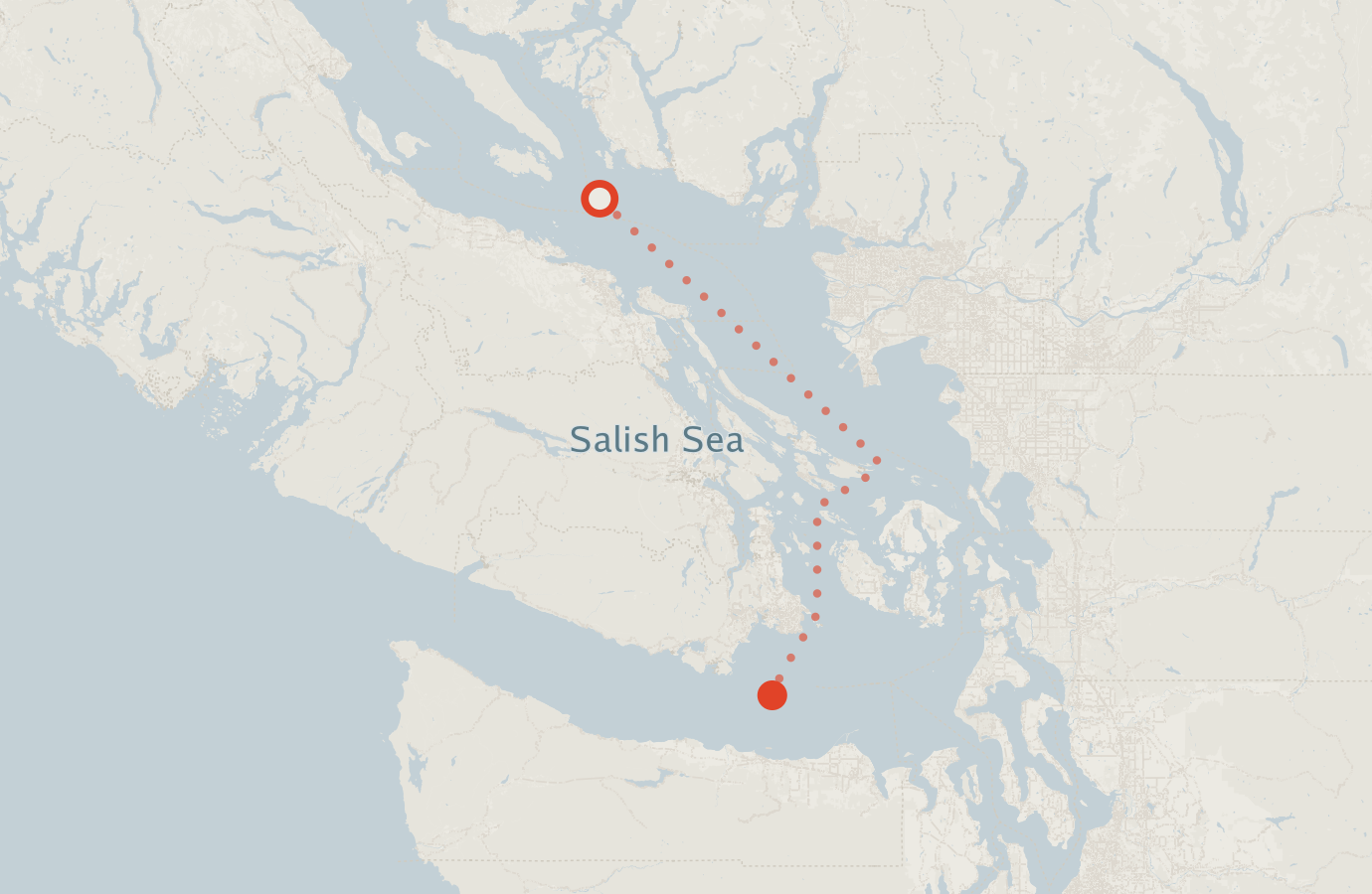 Activity map — real sighting points on an OpenStreetMap basemap