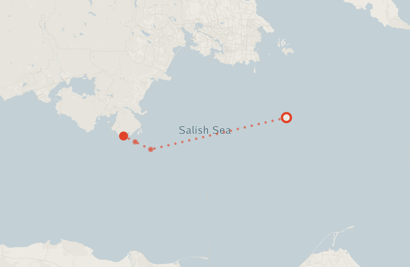 Activity map — real sighting points on an OpenStreetMap basemap
