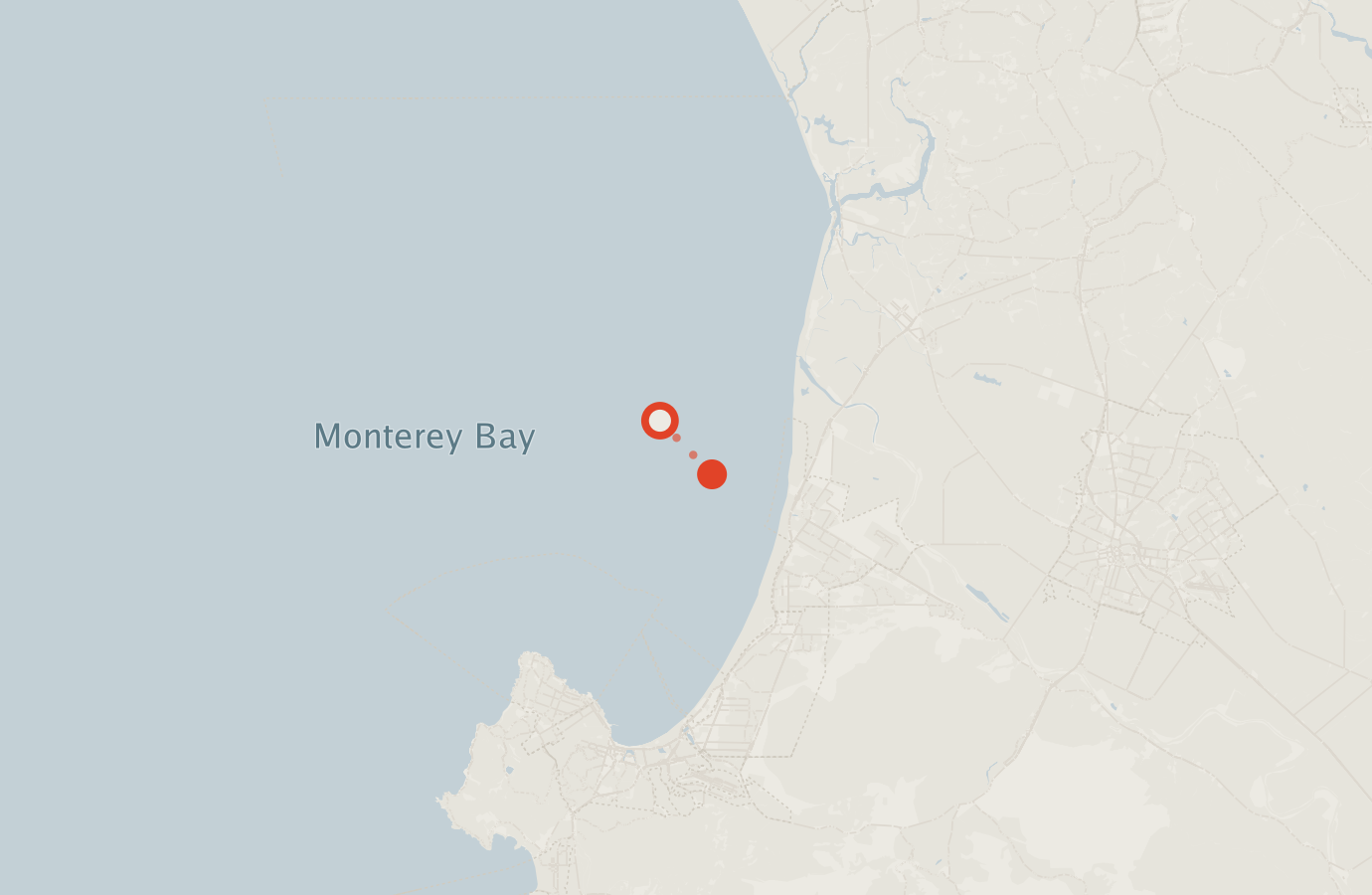 Activity map — real sighting points on an OpenStreetMap basemap
