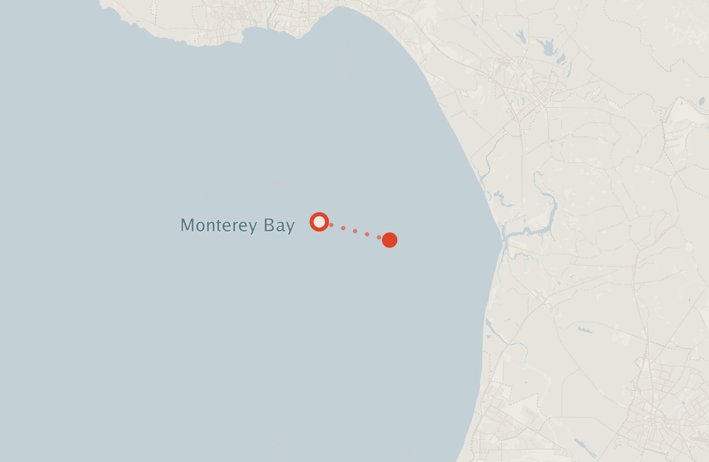 Activity map — real sighting points on an OpenStreetMap basemap