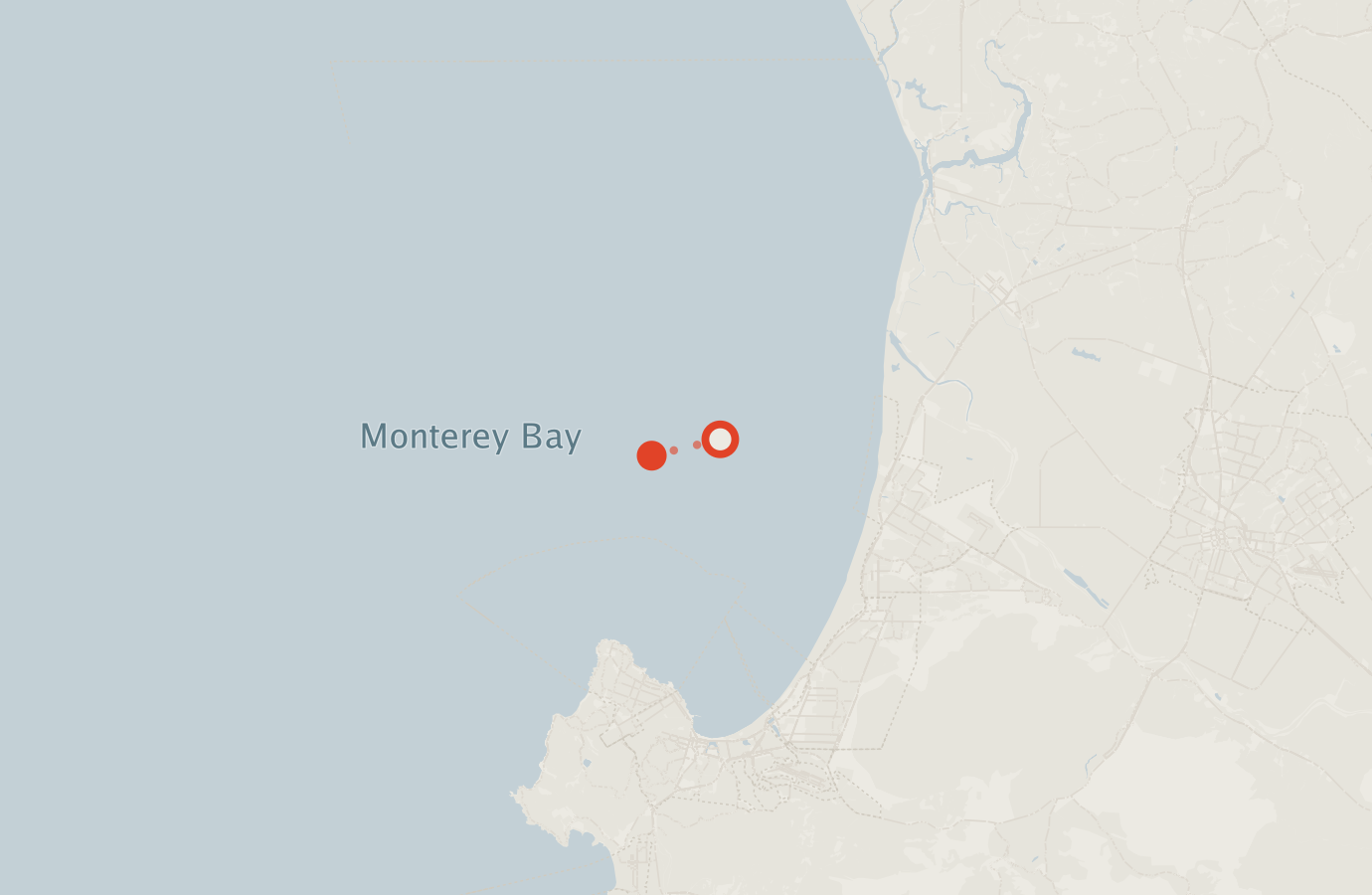Activity map — real sighting points on an OpenStreetMap basemap