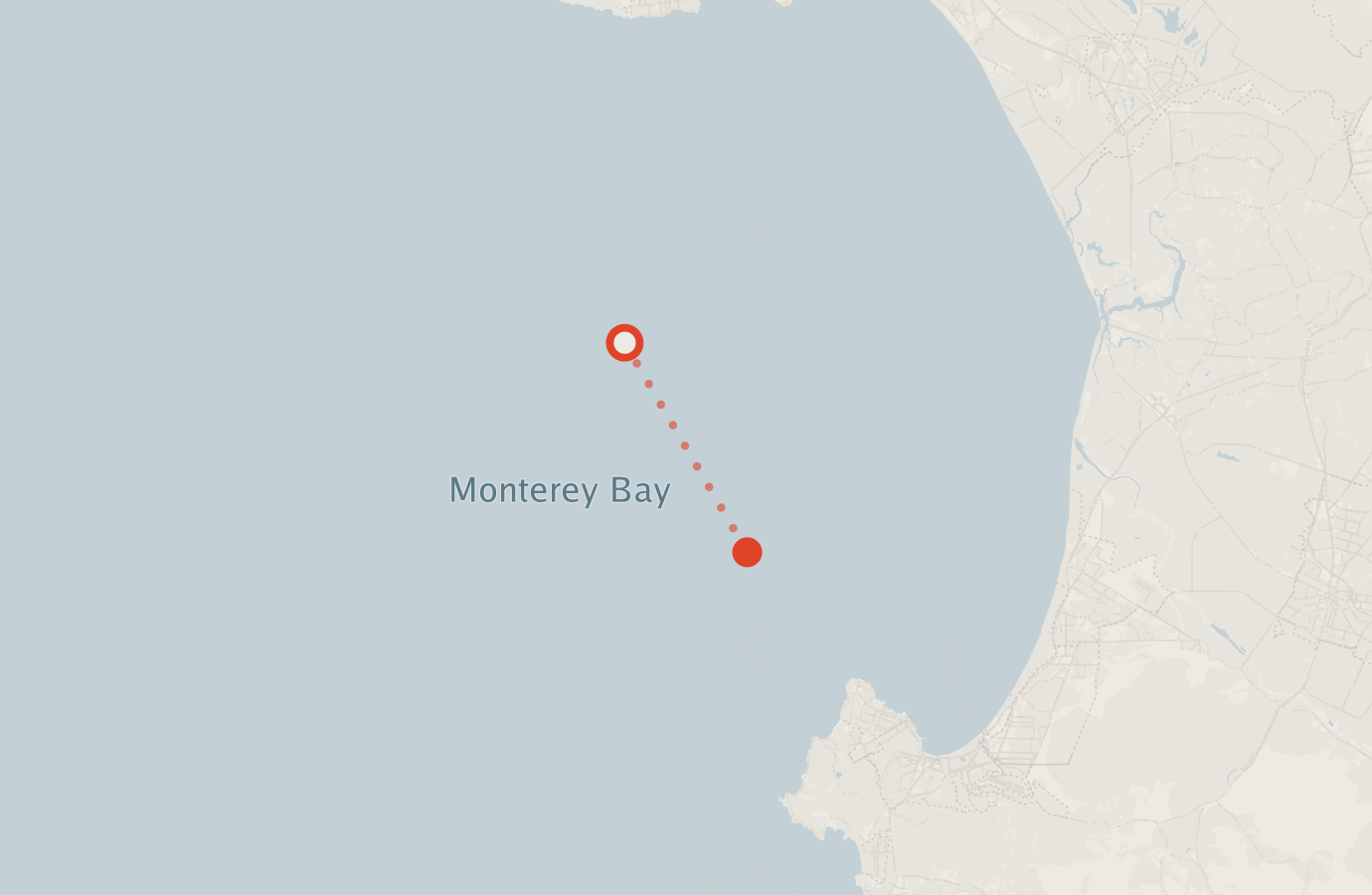 Activity map — real sighting points on an OpenStreetMap basemap