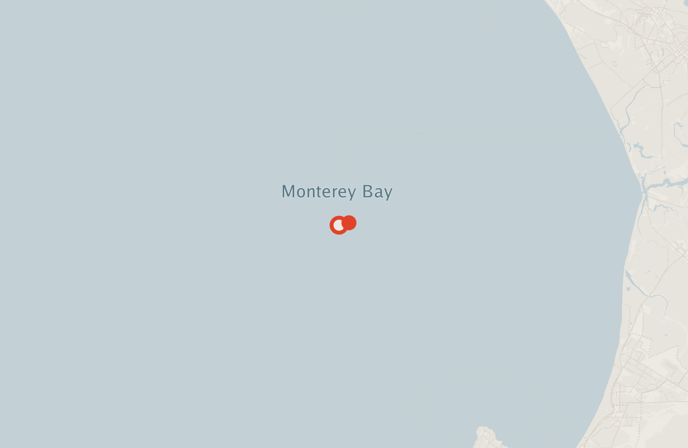 Activity map — real sighting points on an OpenStreetMap basemap