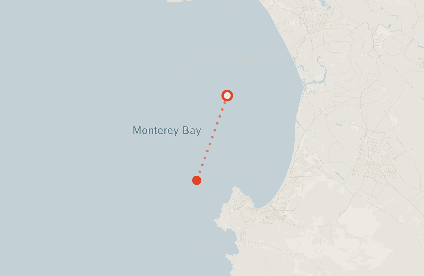 Activity map — real sighting points on an OpenStreetMap basemap