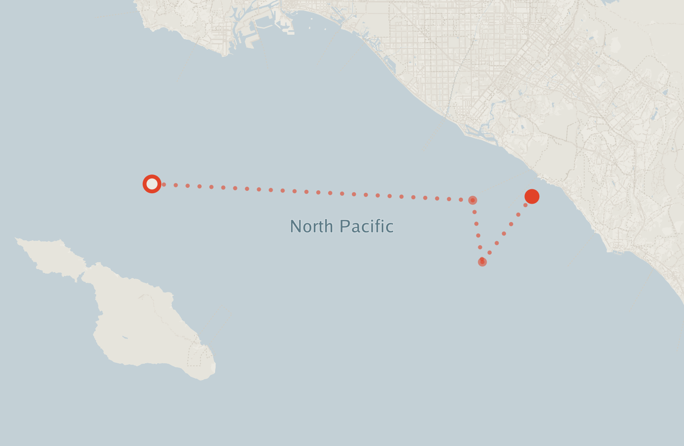 Activity map — real sighting points on an OpenStreetMap basemap