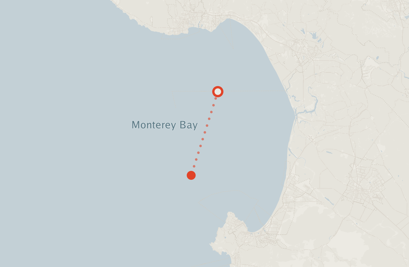 Activity map — real sighting points on an OpenStreetMap basemap