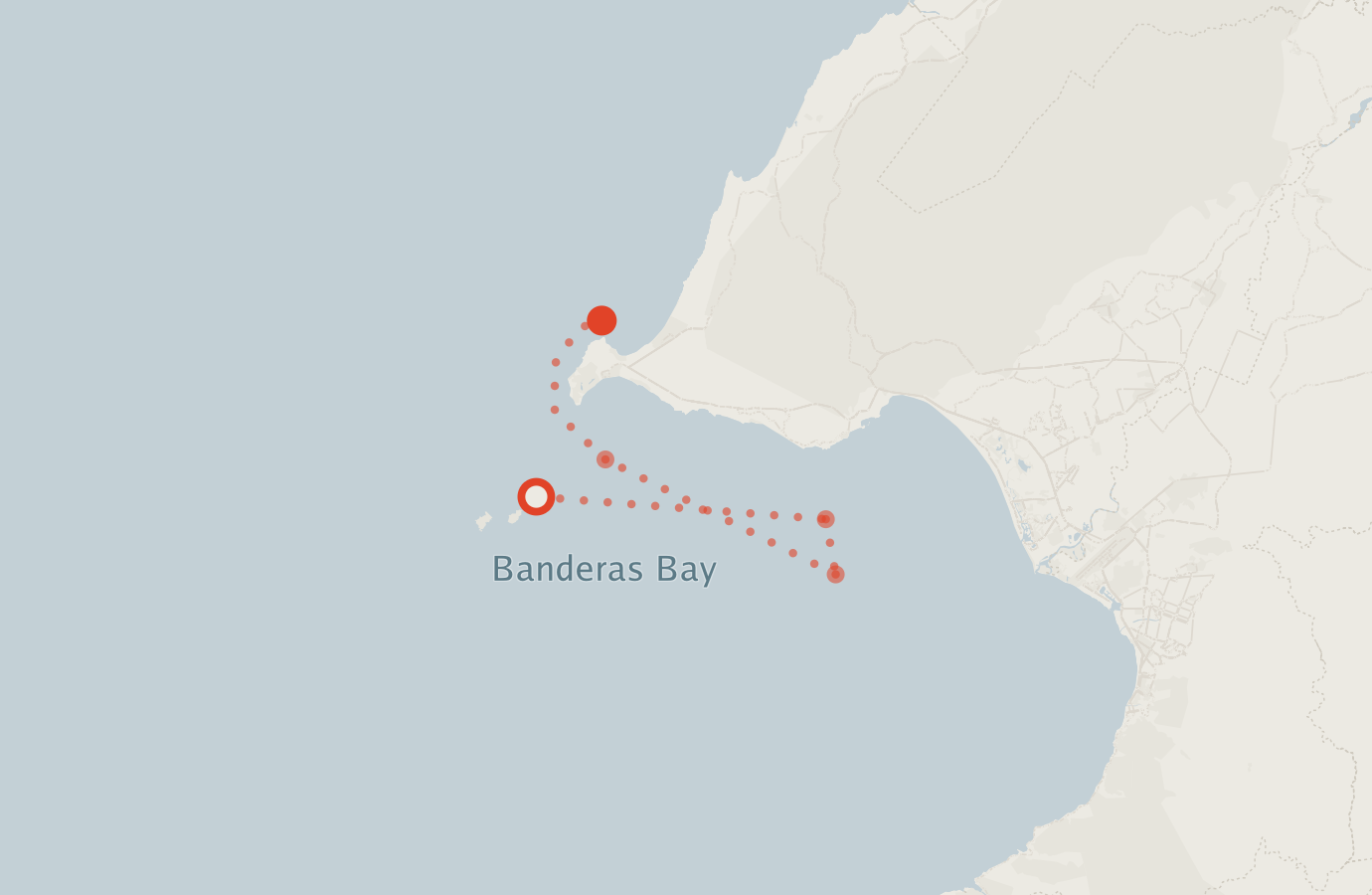 Activity map — real sighting points on an OpenStreetMap basemap