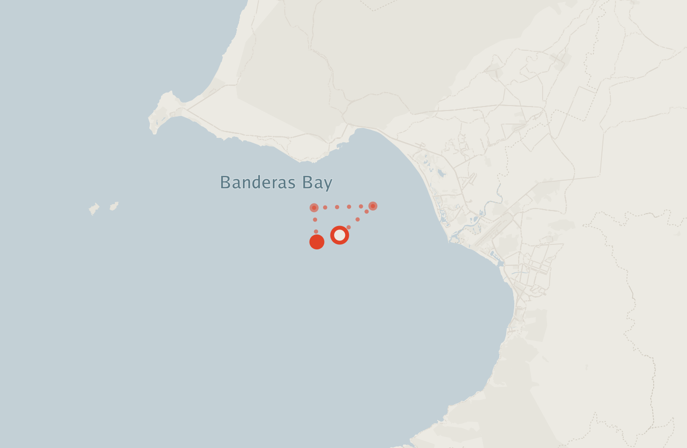 Activity map — real sighting points on an OpenStreetMap basemap