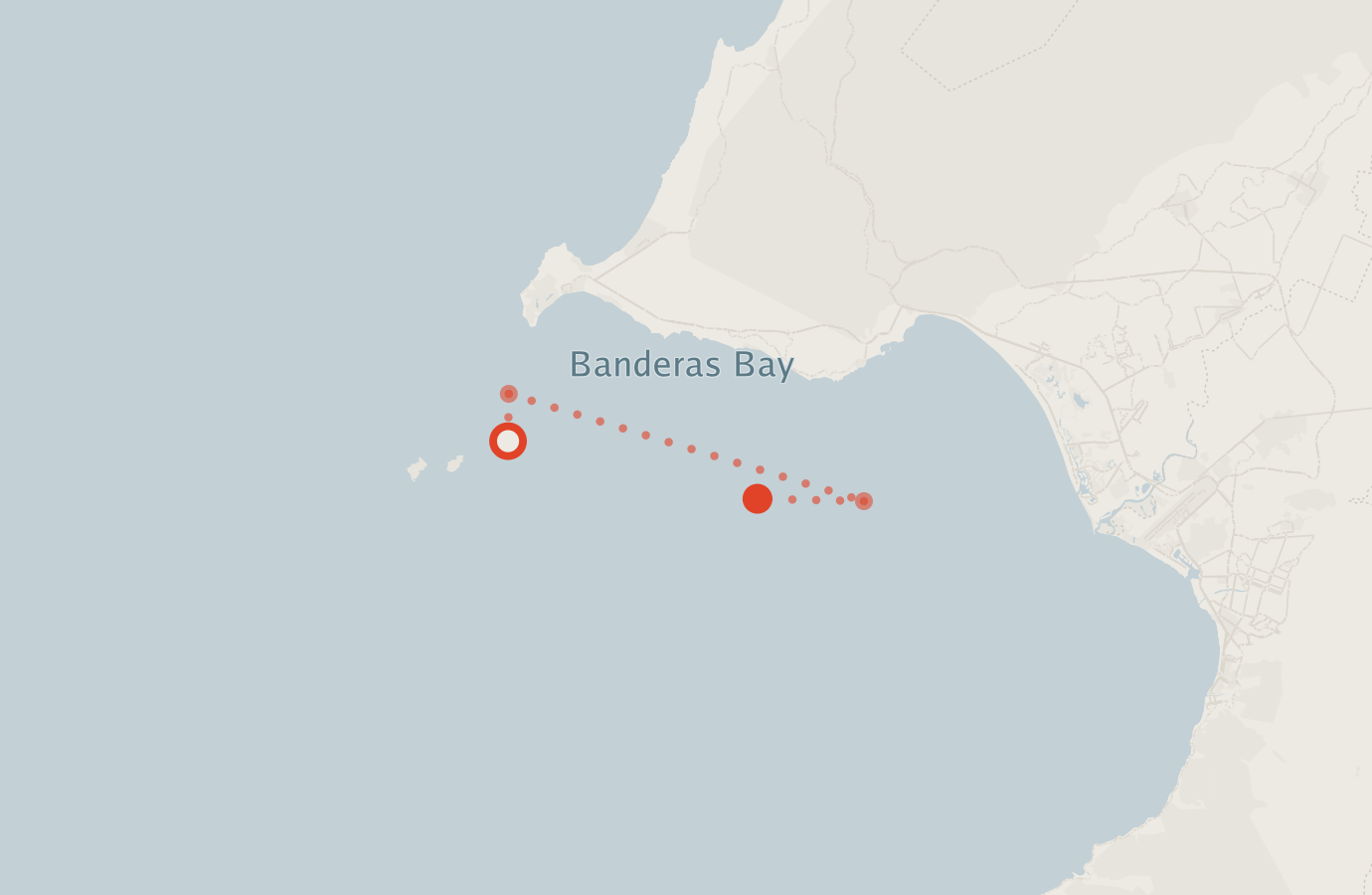 Activity map — real sighting points on an OpenStreetMap basemap
