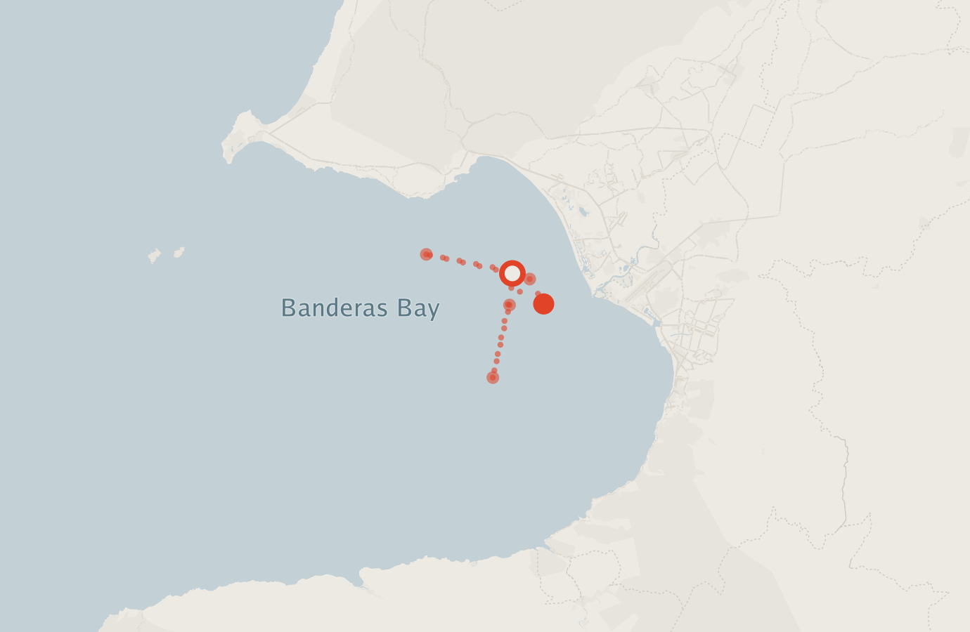 Activity map — real sighting points on an OpenStreetMap basemap