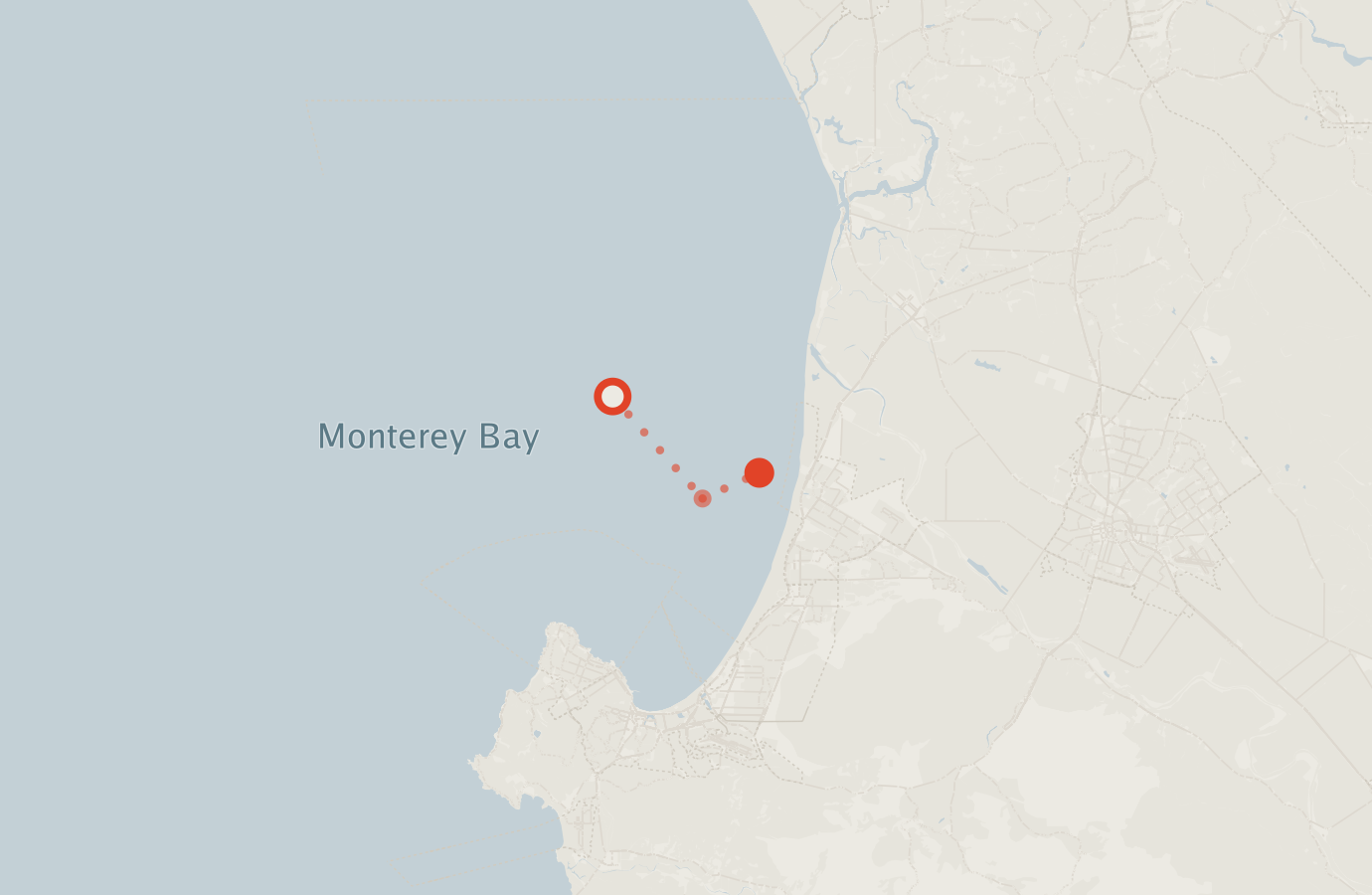 Activity map — real sighting points on an OpenStreetMap basemap