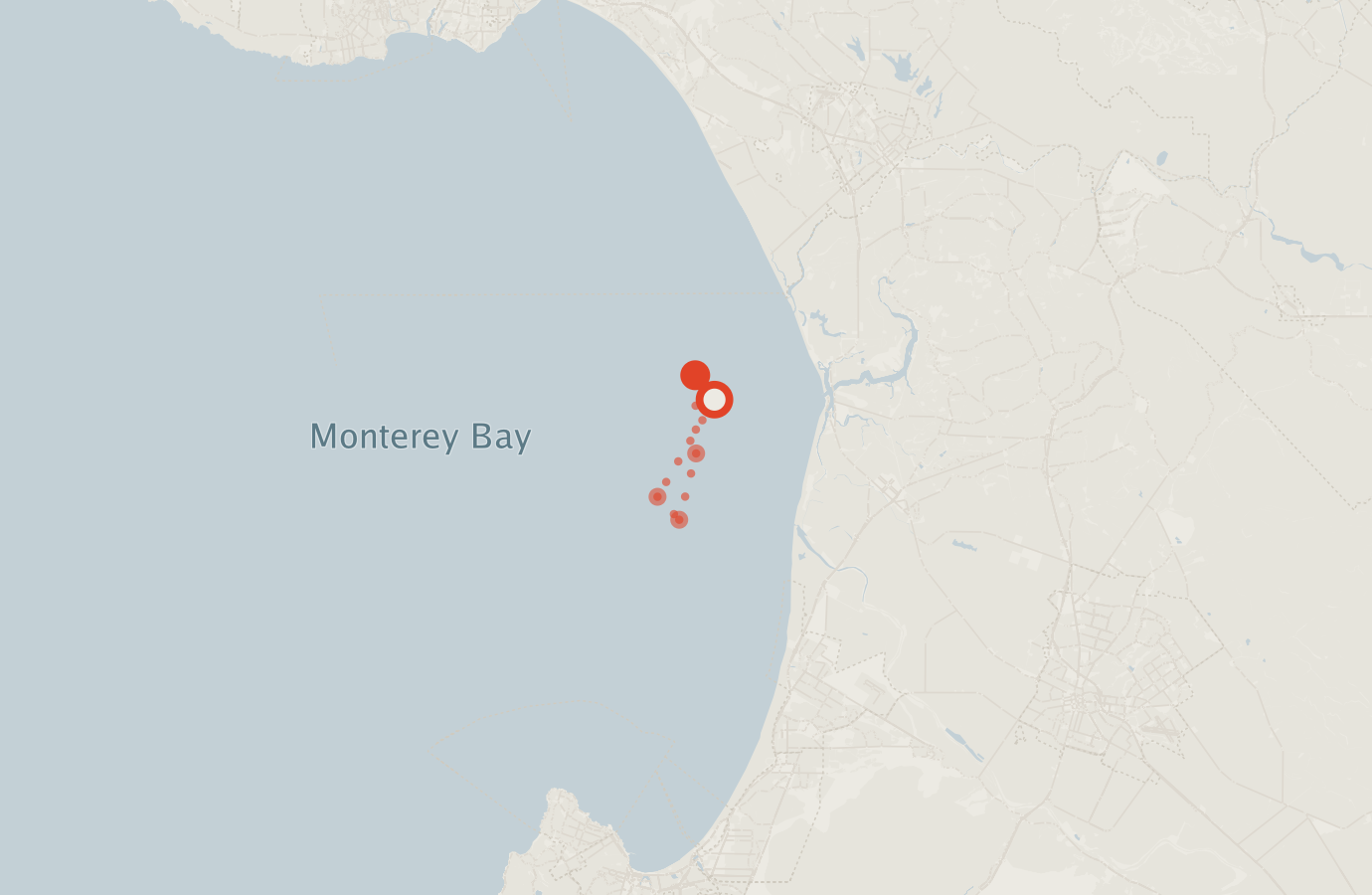 Activity map — real sighting points on an OpenStreetMap basemap