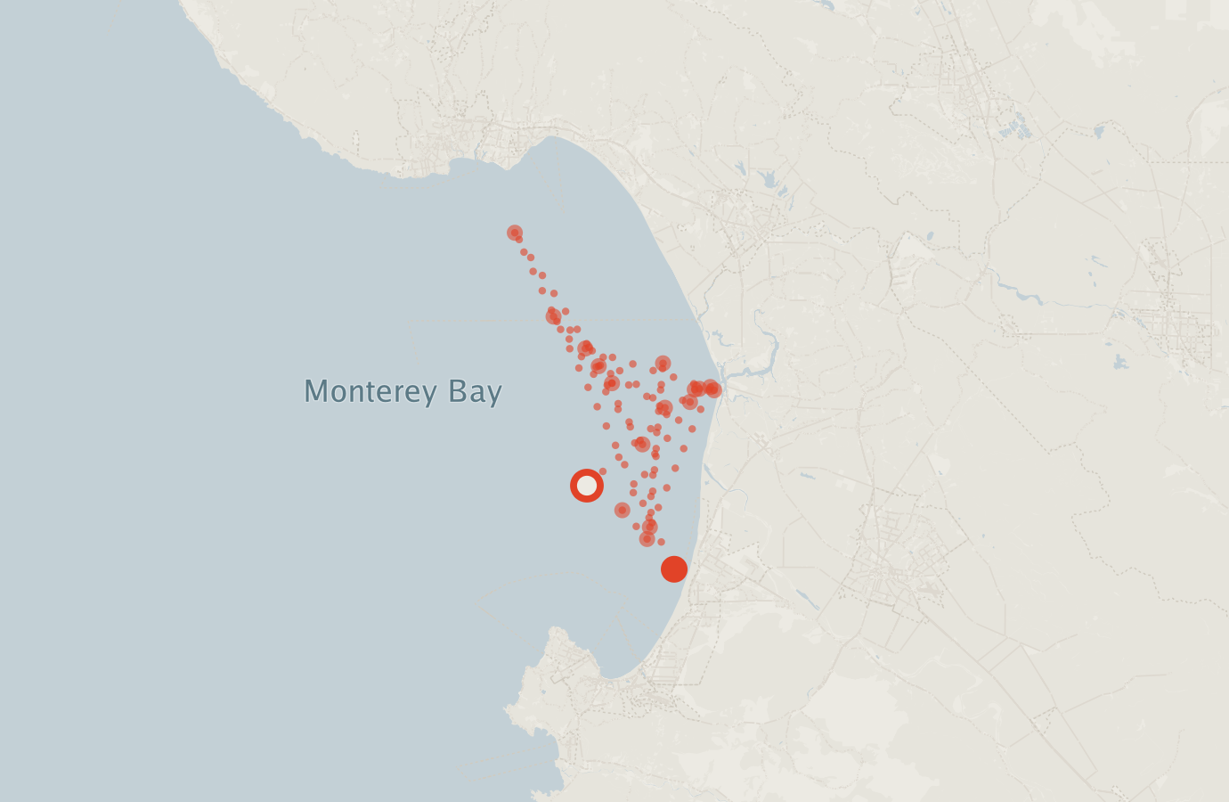 Activity map — real sighting points on an OpenStreetMap basemap