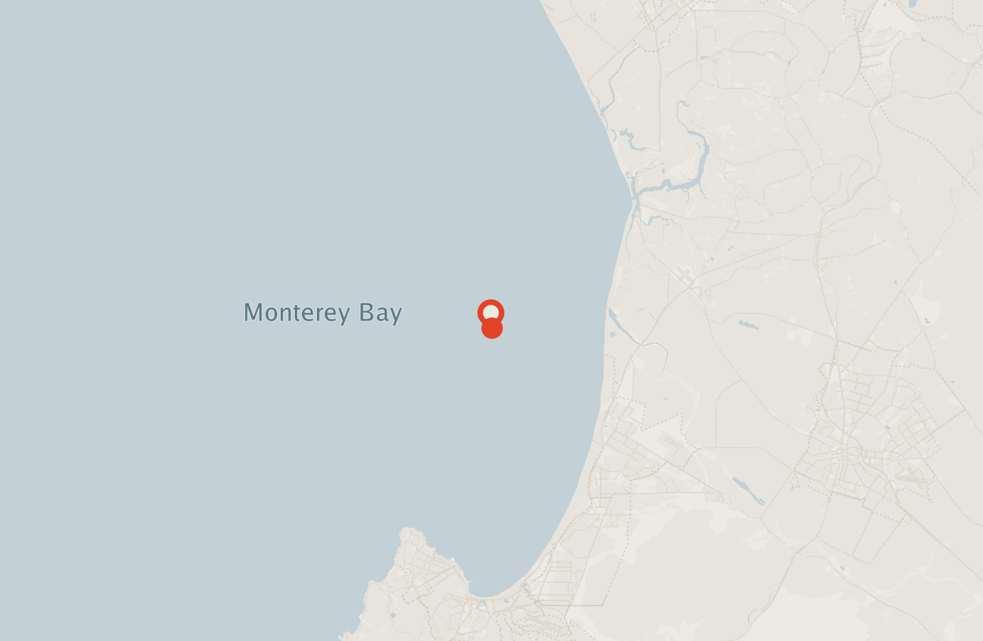 Activity map — real sighting points on an OpenStreetMap basemap