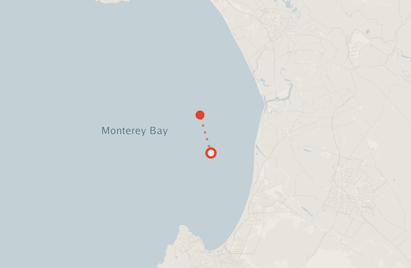 Activity map — real sighting points on an OpenStreetMap basemap