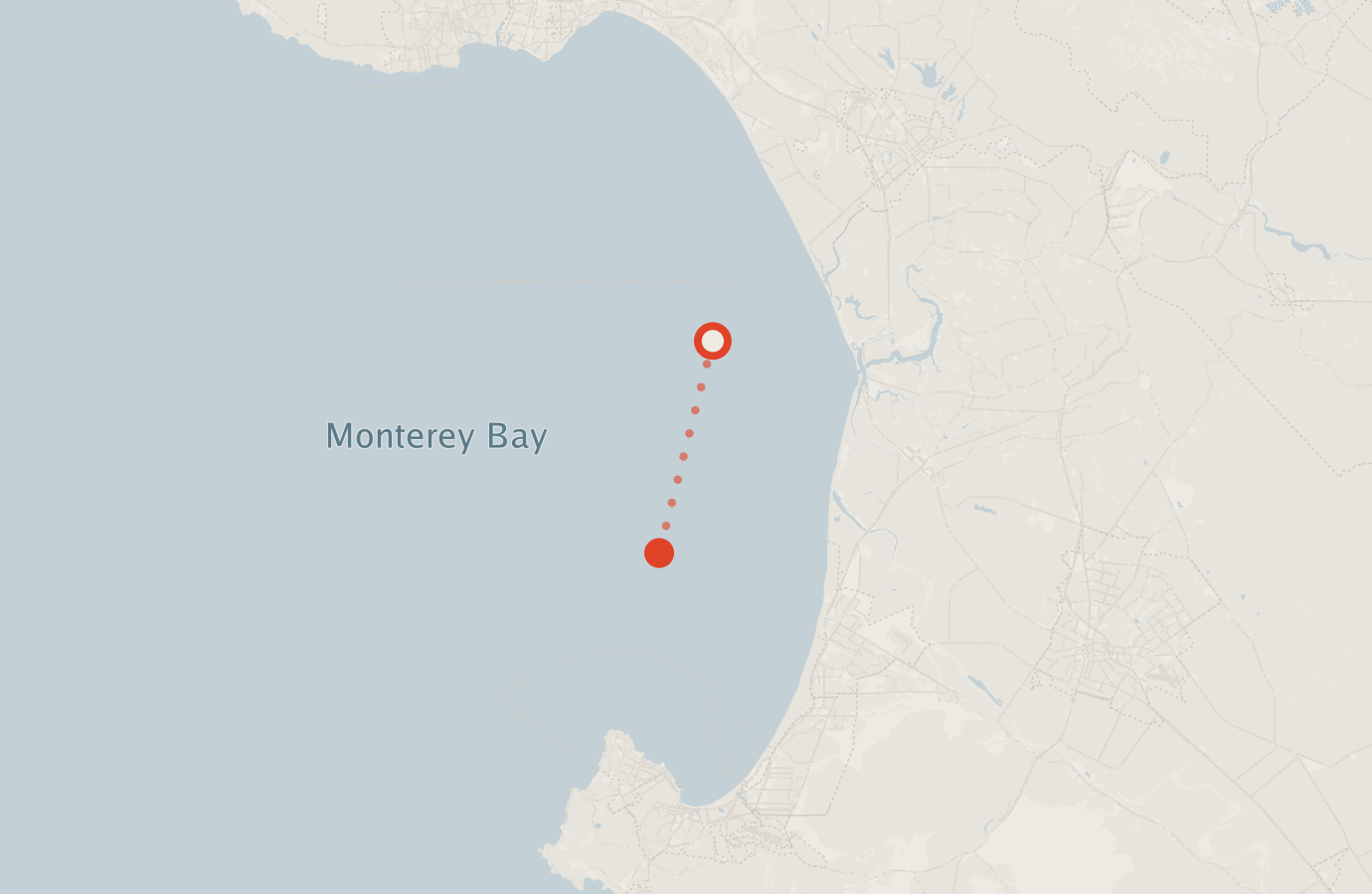 Activity map — real sighting points on an OpenStreetMap basemap