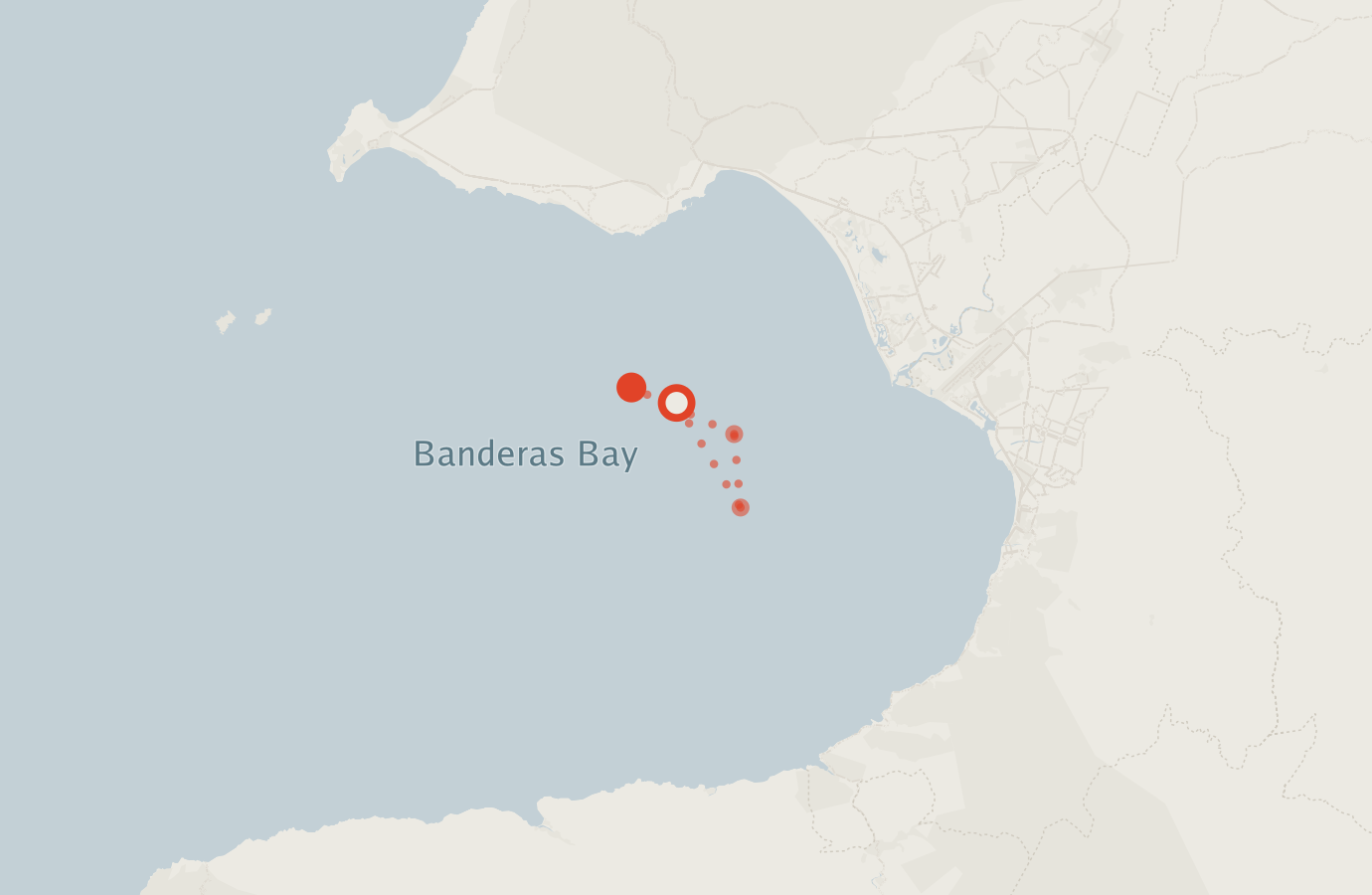 Activity map — real sighting points on an OpenStreetMap basemap