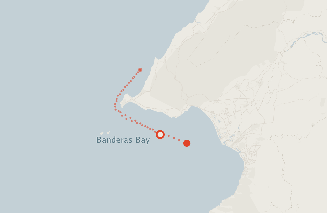 Activity map — real sighting points on an OpenStreetMap basemap