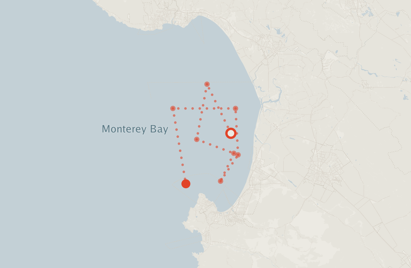 Activity map — real sighting points on an OpenStreetMap basemap